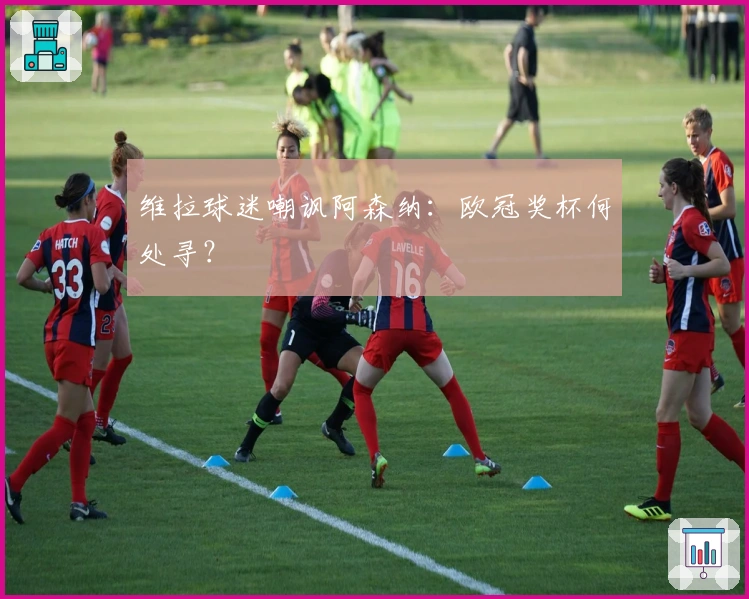 维拉球迷嘲讽阿森纳：欧冠奖杯何处寻？