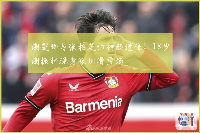 谢霆锋与张柏芝的神颜遗传！18岁谢振轩现身深圳滑雪场