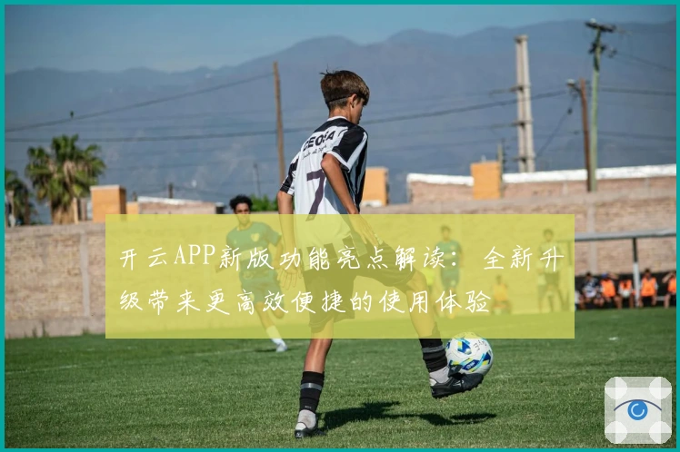 开云APP新版功能亮点解读：全新升级带来更高效便捷的使用体验