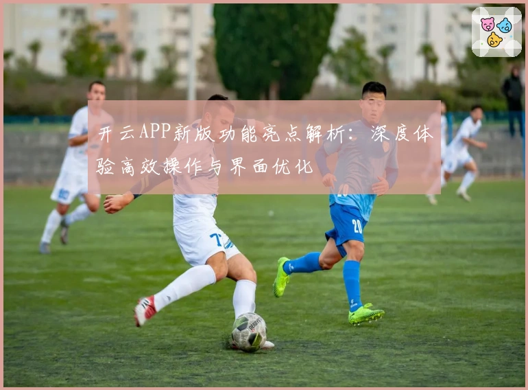 开云APP新版功能亮点解析:深度体验高效操作与界面优化
