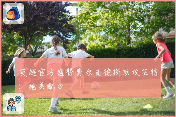 英超官方盛赞费尔南德斯助攻芒特：绝美配合